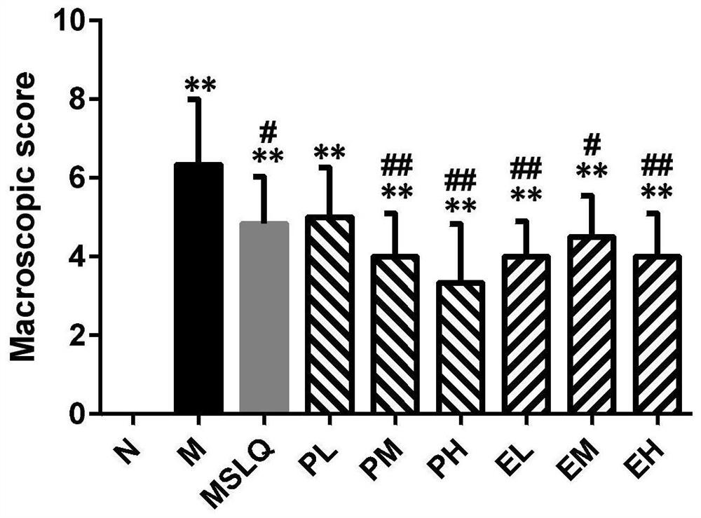 A kind of microporosa haemophilus extract and its extraction method and application