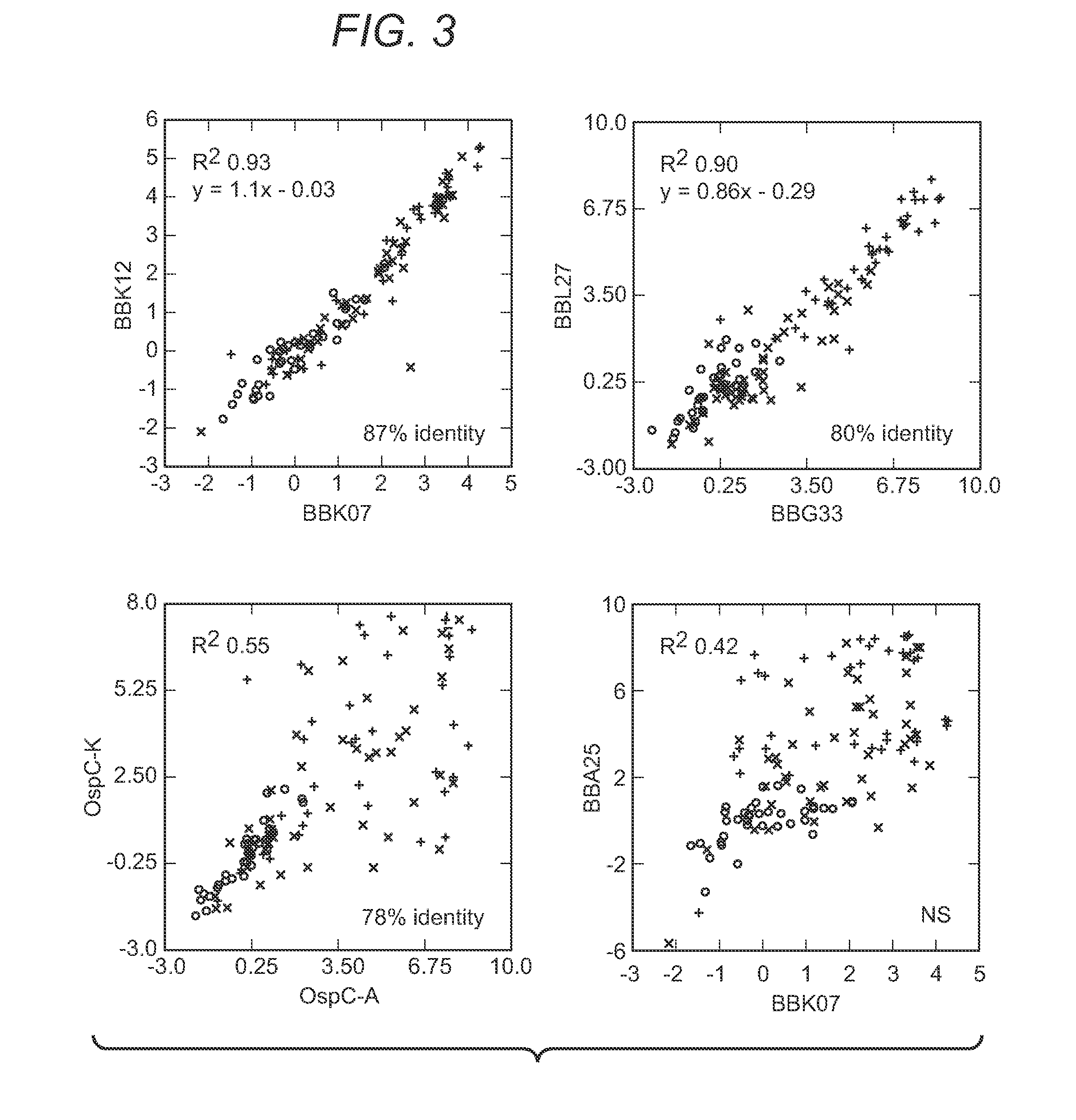 Borrelia diagnostics and screening methods