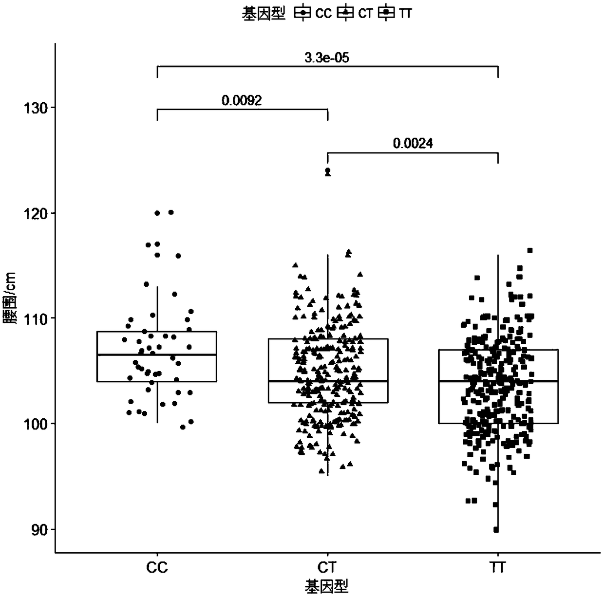 A Molecular Marker Affecting the Loin Circumference Traits of Duroc Pigs and Its Application