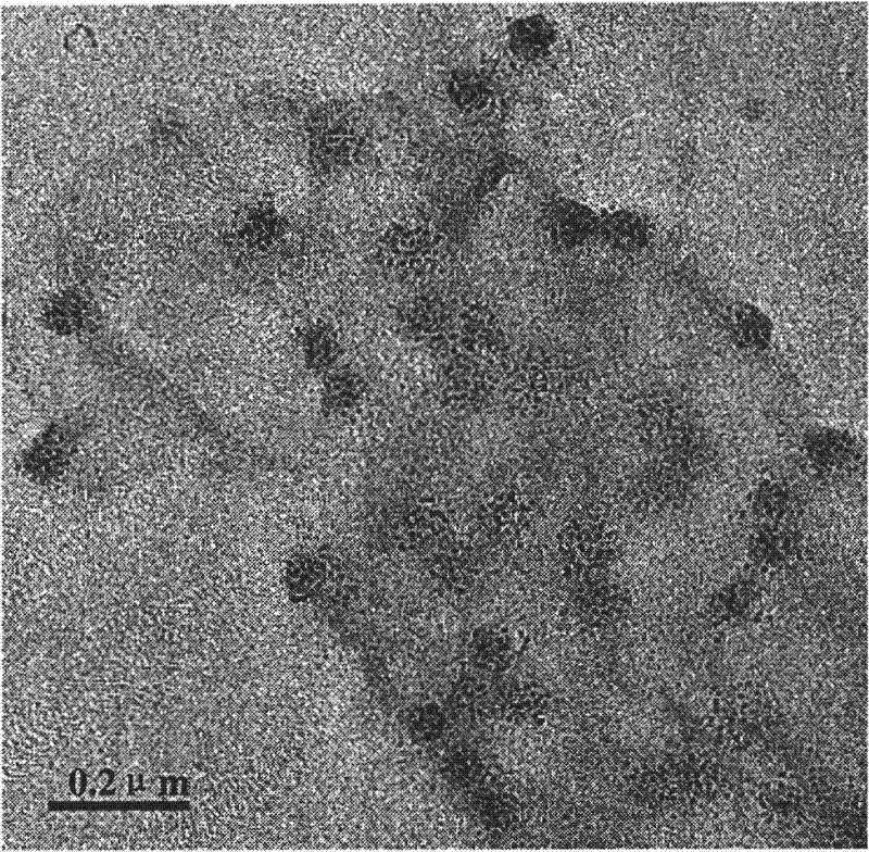 Preparation method of T4 bacteriophage supported precious metal nano-particle catalyst