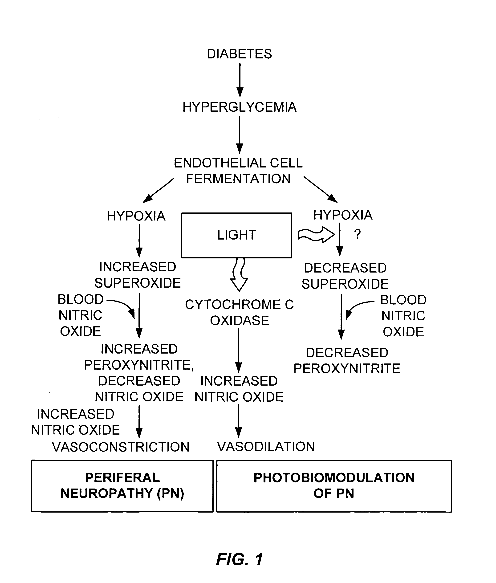 Visible light modulation of mitochondrial function in hypoxia and disease