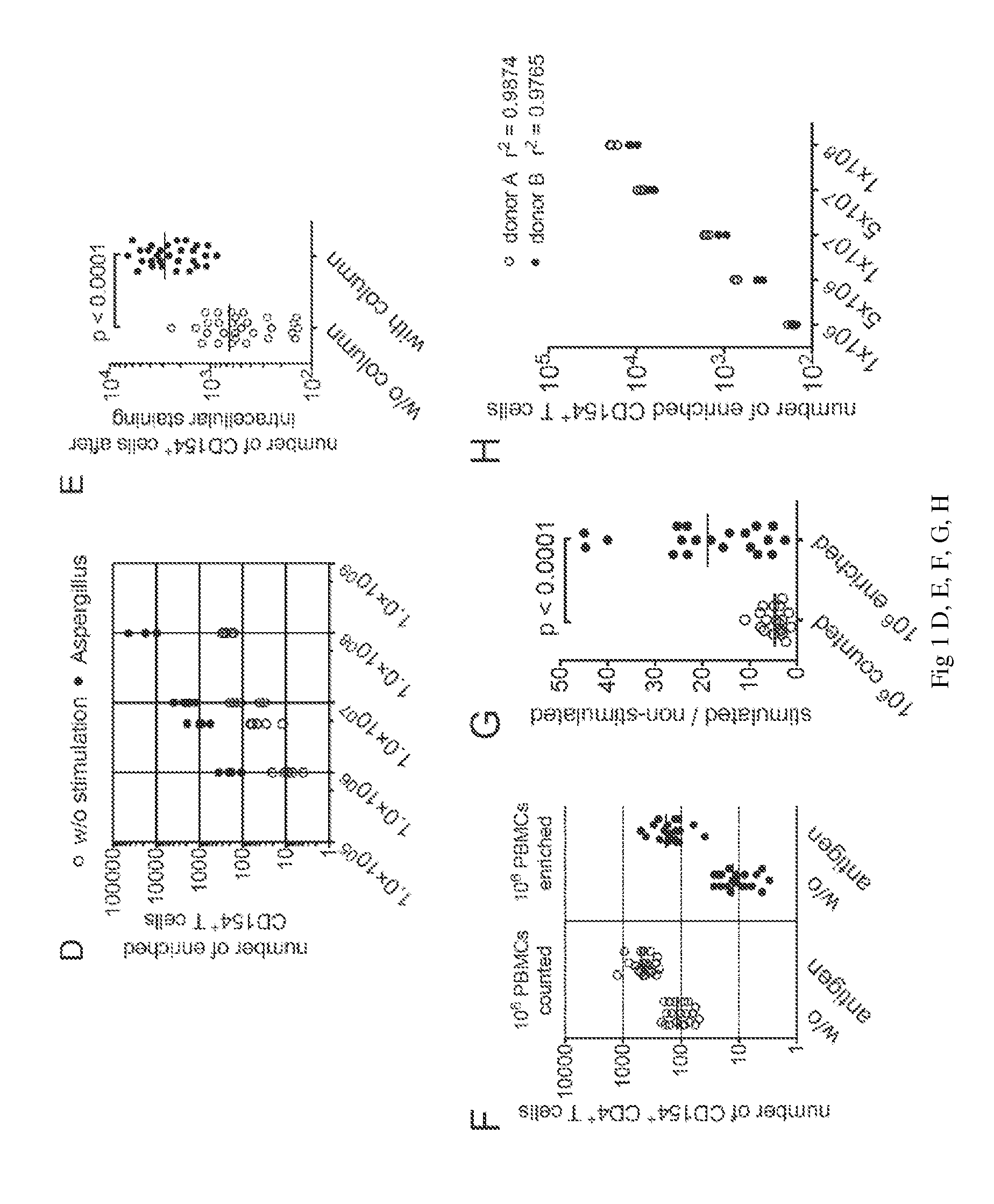 Method for the quantitative and qualitative characterization of antigen-specific t cells recognizing a specific antigen