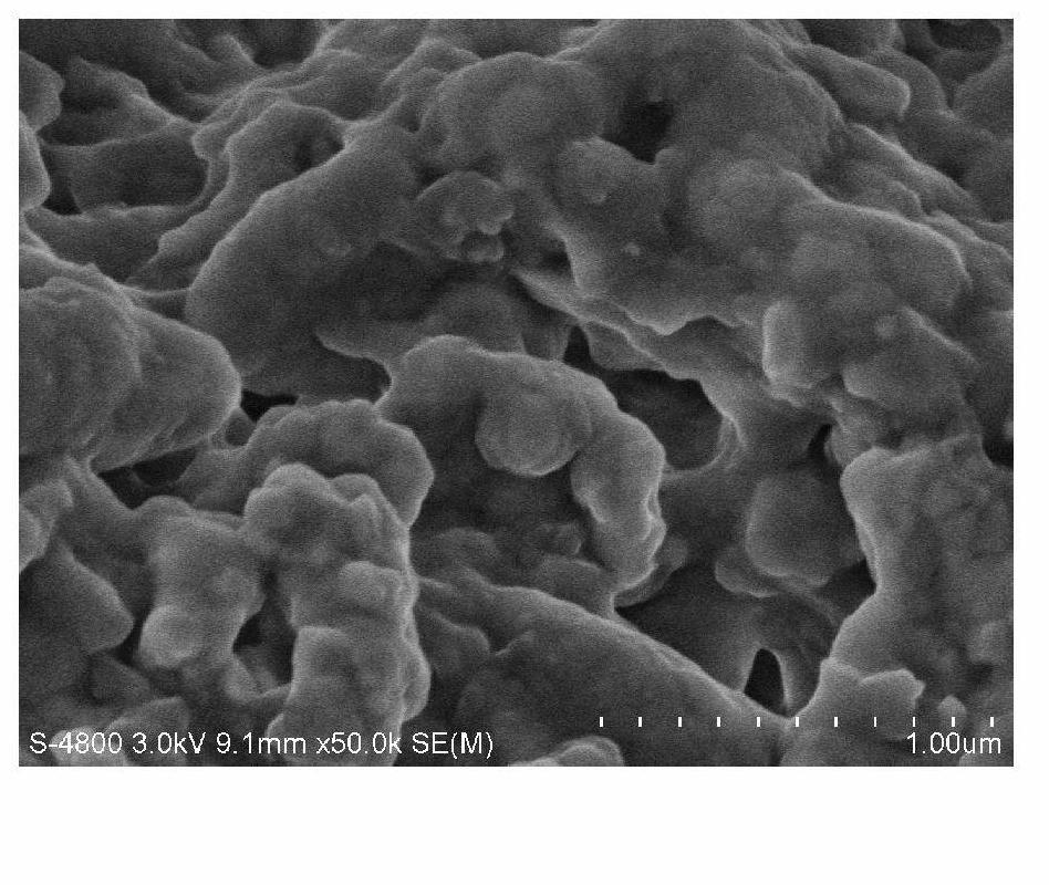 Solid oxide fuel cell composite cathode and preparation method thereof