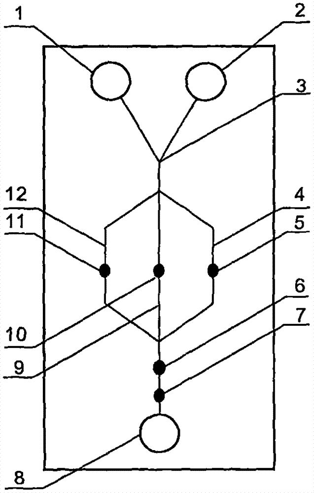 Sub-type swine influenza detection chip device using PDMS as substrate material