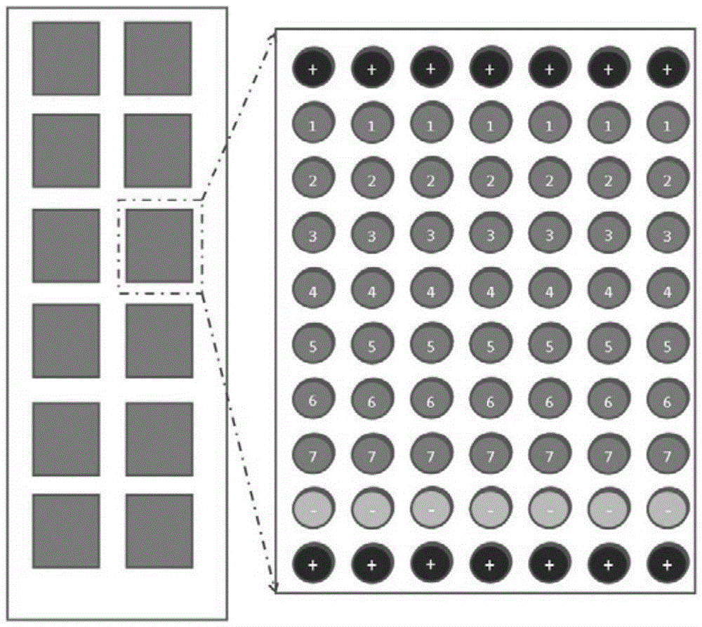 Gene chip for simultaneous detection of human herpesvirus and enterovirus