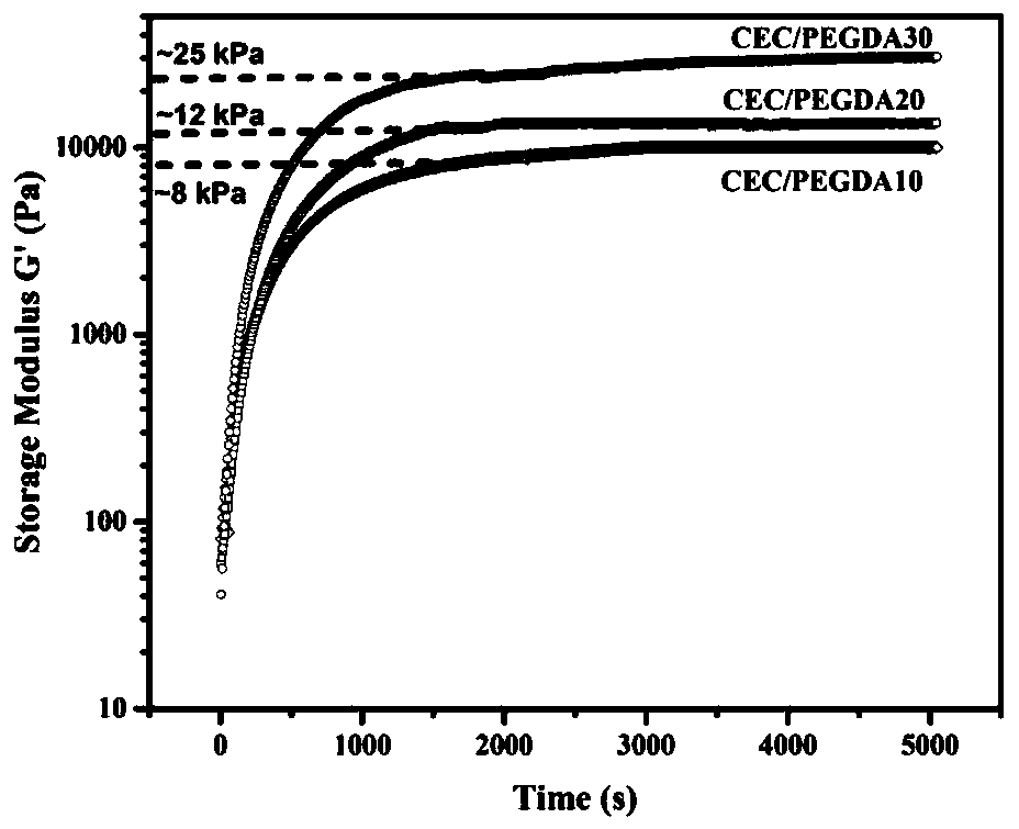 An injectable hydrogel with self-healing and pH-responsive properties, its preparation method and application