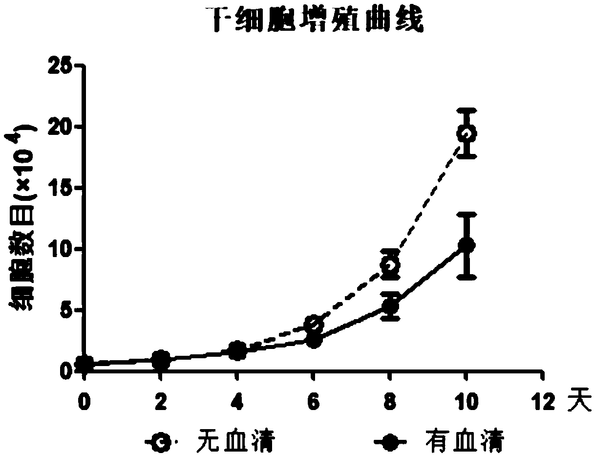 Method for separating and culturing human adipose-derived stem cells