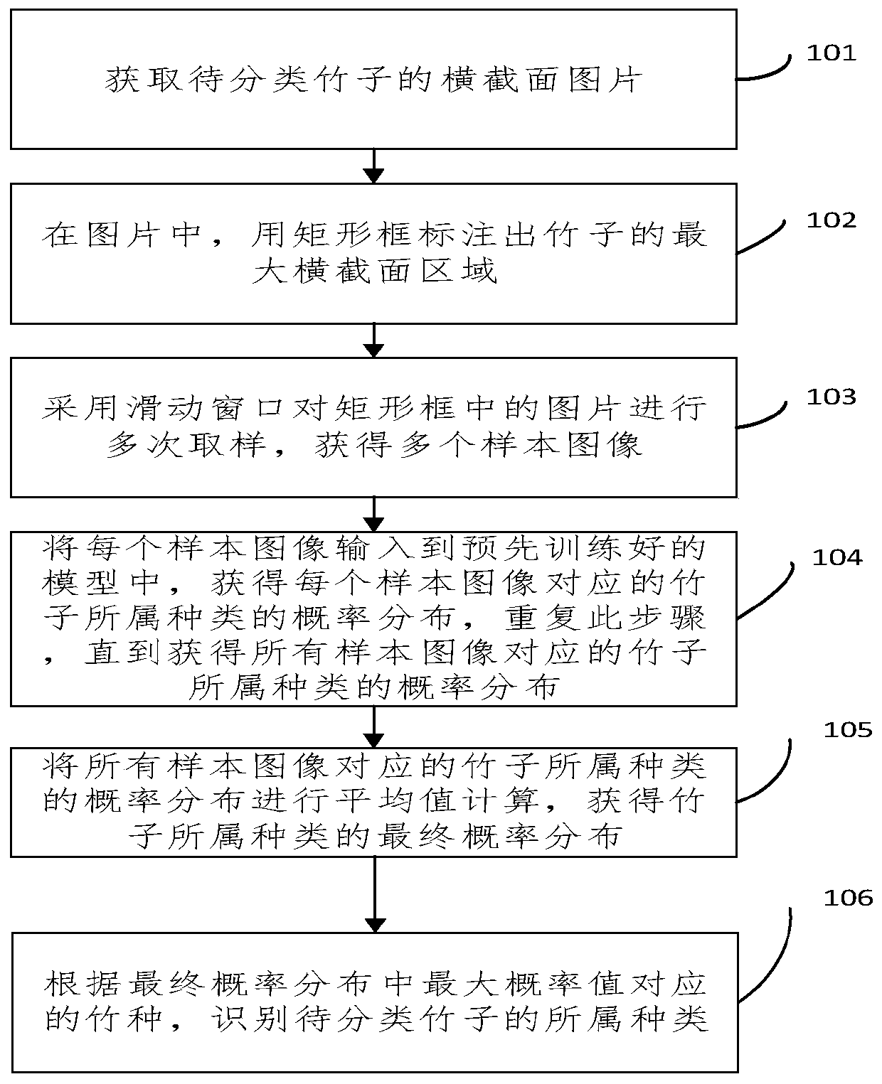 Bamboo variety recognition method based on artificial intelligence deep learning