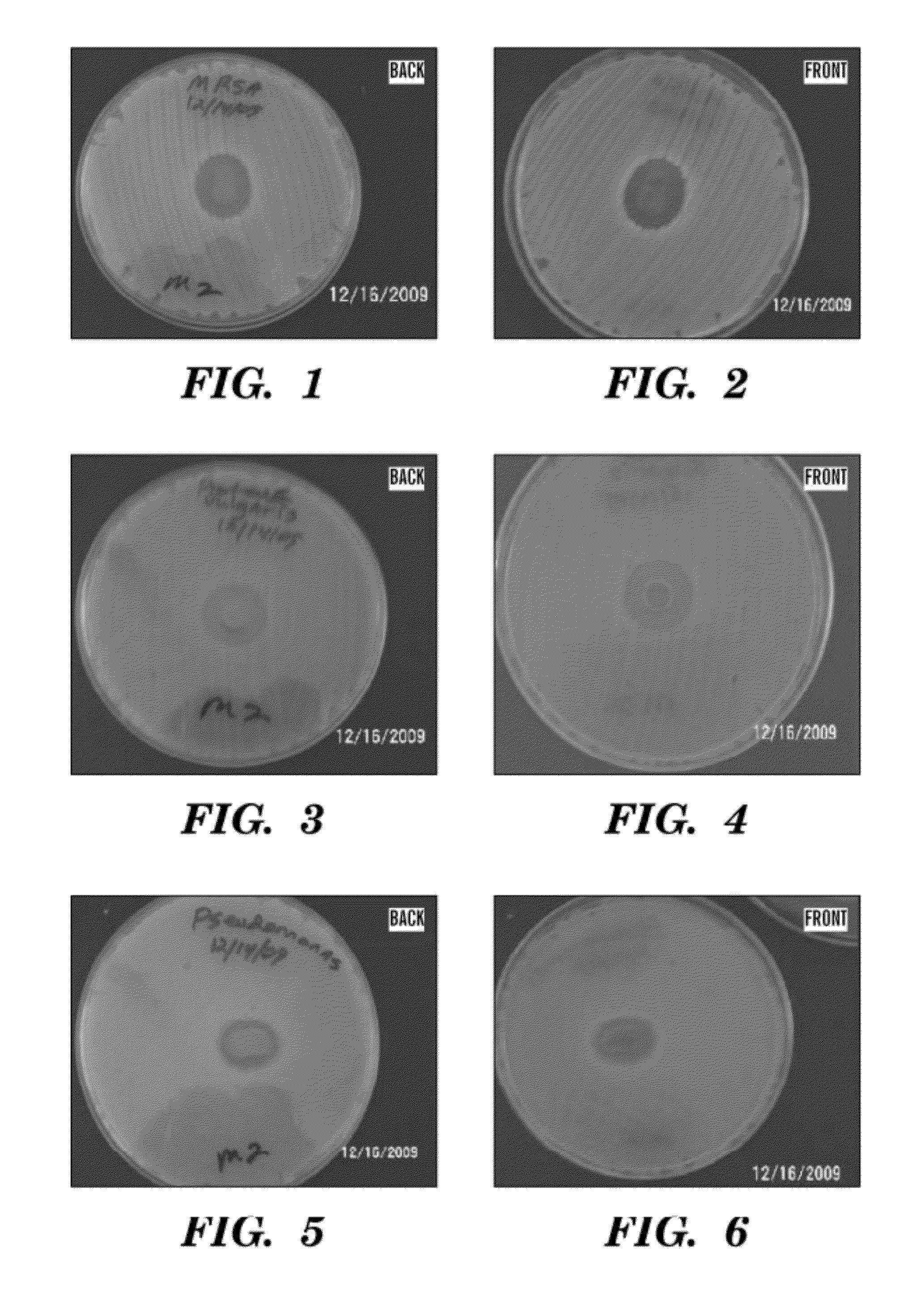 Topical drug delivery system with dual carriers