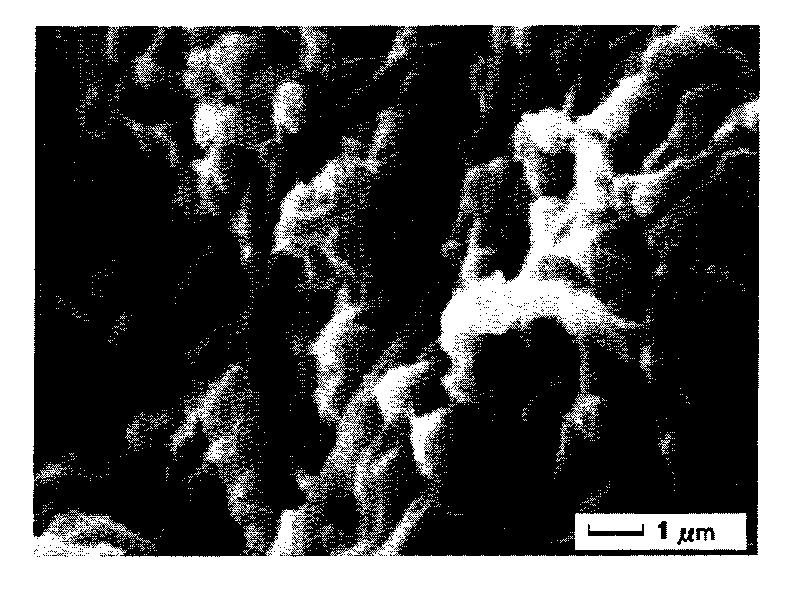 Method for culturing aerobic granular sludge for treating biological nutrients in municipal sewage