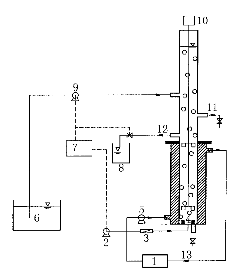 Method for culturing aerobic granular sludge for treating biological nutrients in municipal sewage