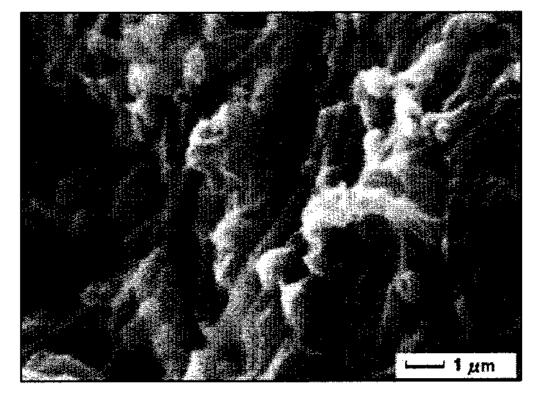 Method for culturing aerobic granular sludge for treating biological nutrients in municipal sewage