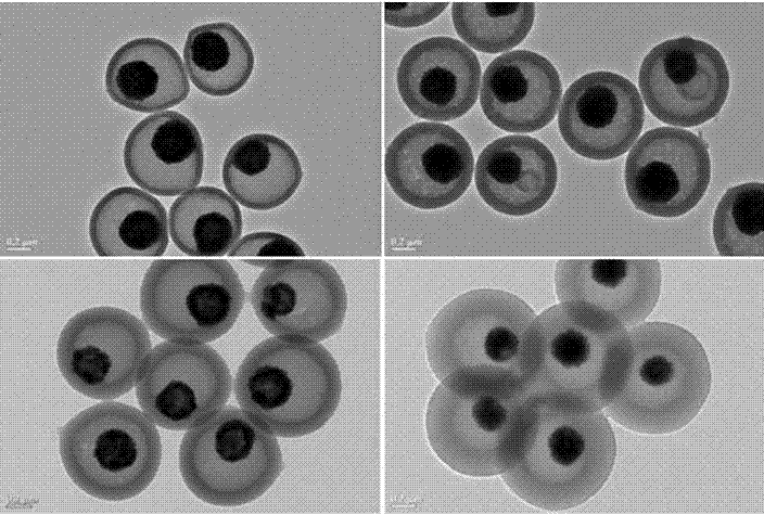 Magnetic hollow multihole carbon ball with core-shell structure and preparation method of magnetic hollow multihole carbon ball