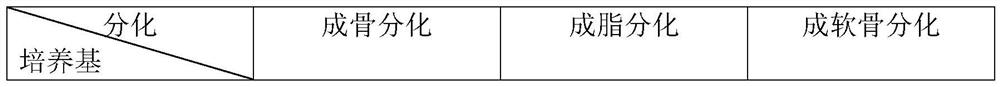 Method for culturing umbilical cord tissue mesenchymal cells