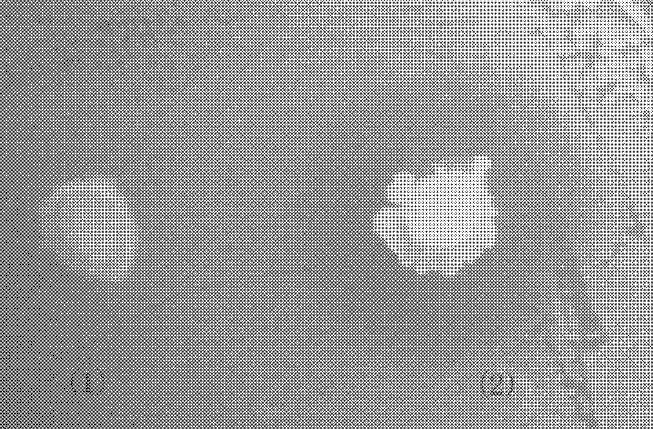 Bacillus pumilus, probiotics preparation and preparation method and application thereof