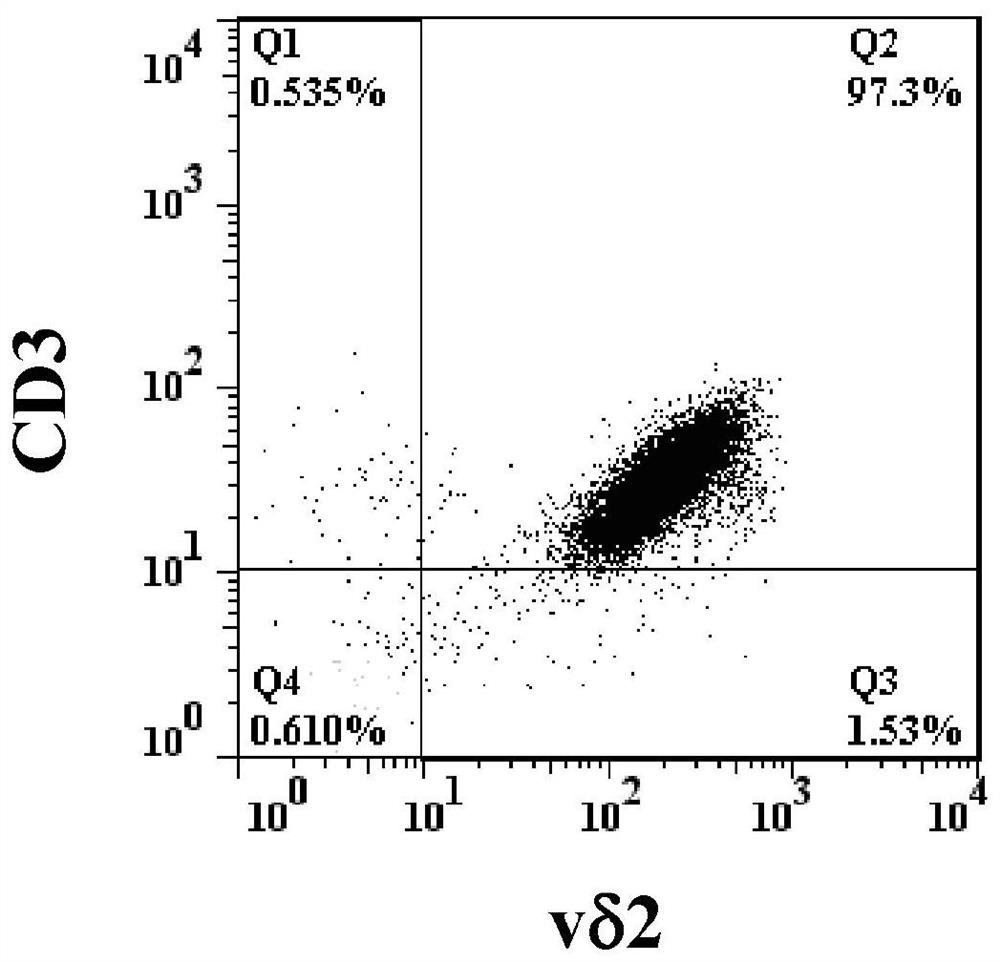 Combinations for t-cell immunotherapy and uses thereof