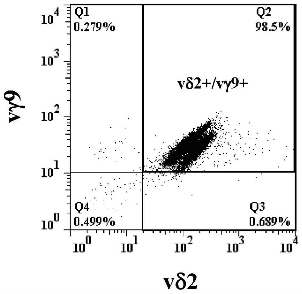 Combinations for t-cell immunotherapy and uses thereof