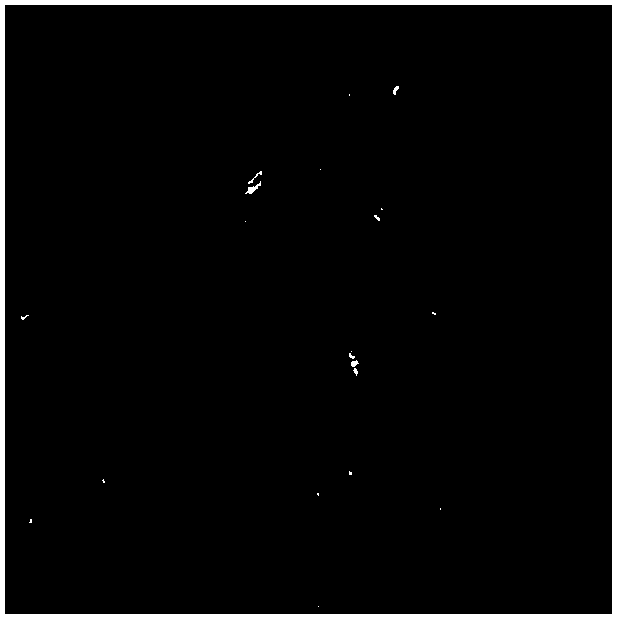 Method for extracting fracture structure information by means of image processing and priori knowledge