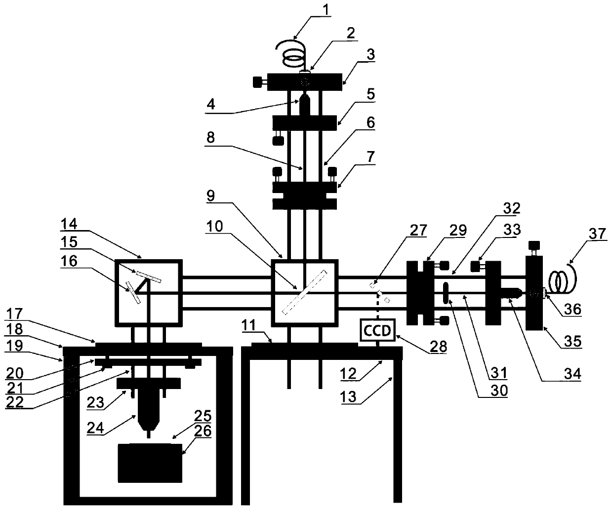 Confocal microscopic imaging system and method in vacuum cavity based on cage structure