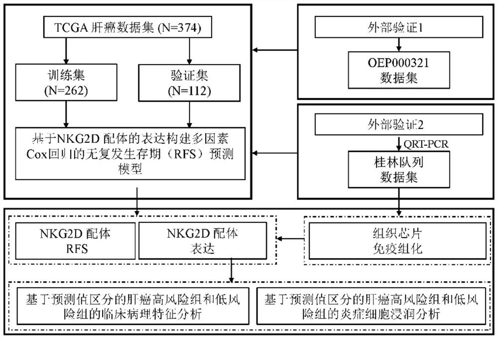 Construction method of hepatocellular carcinoma patient postoperative recurrence prediction model