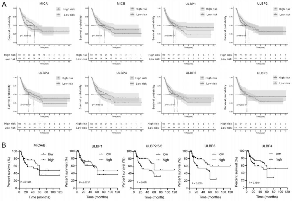 Construction method of hepatocellular carcinoma patient postoperative recurrence prediction model