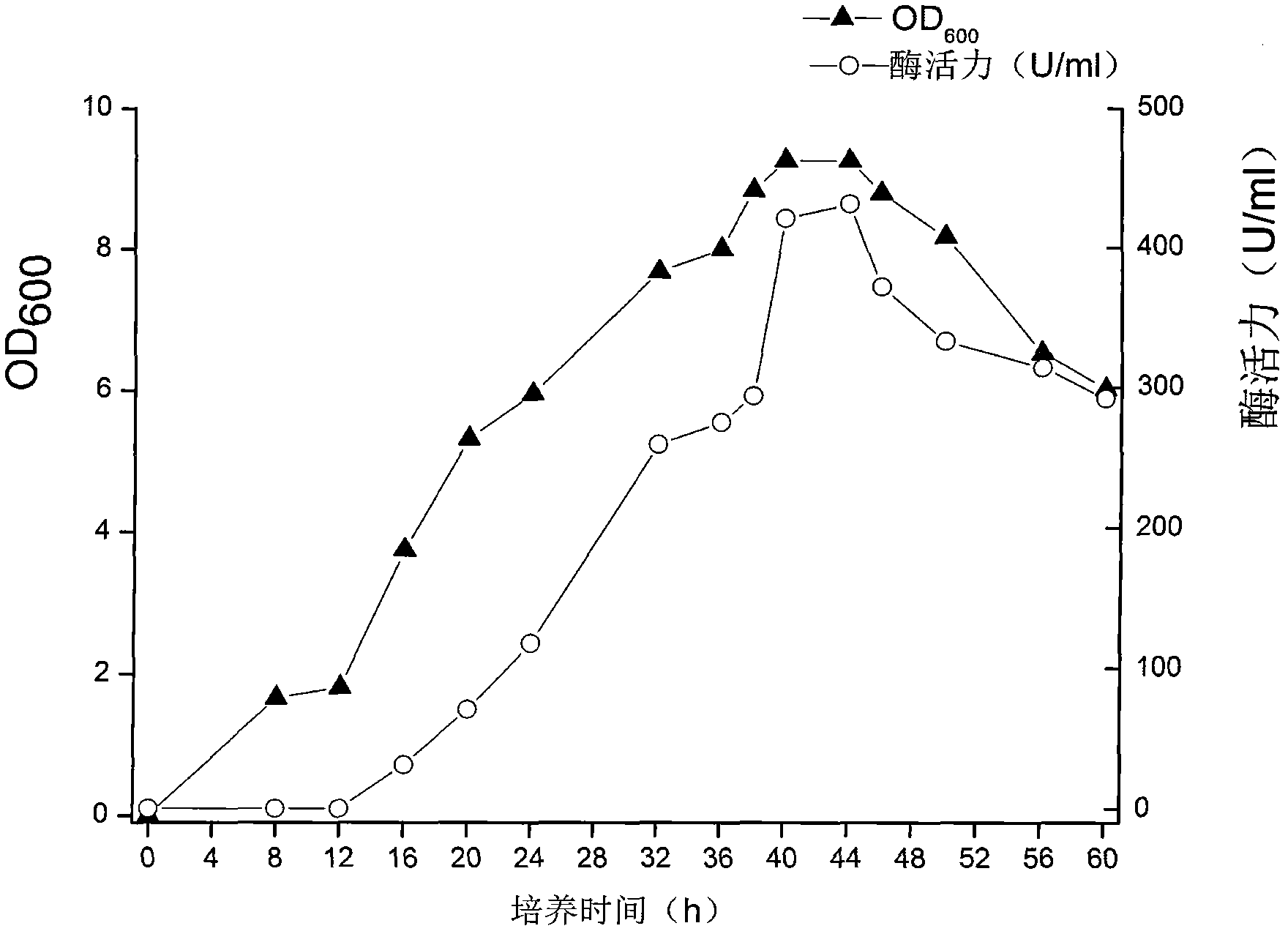 Isoptericola halotolerans capable of highly producing alginate lyase and application method for isoptericola halotolerans