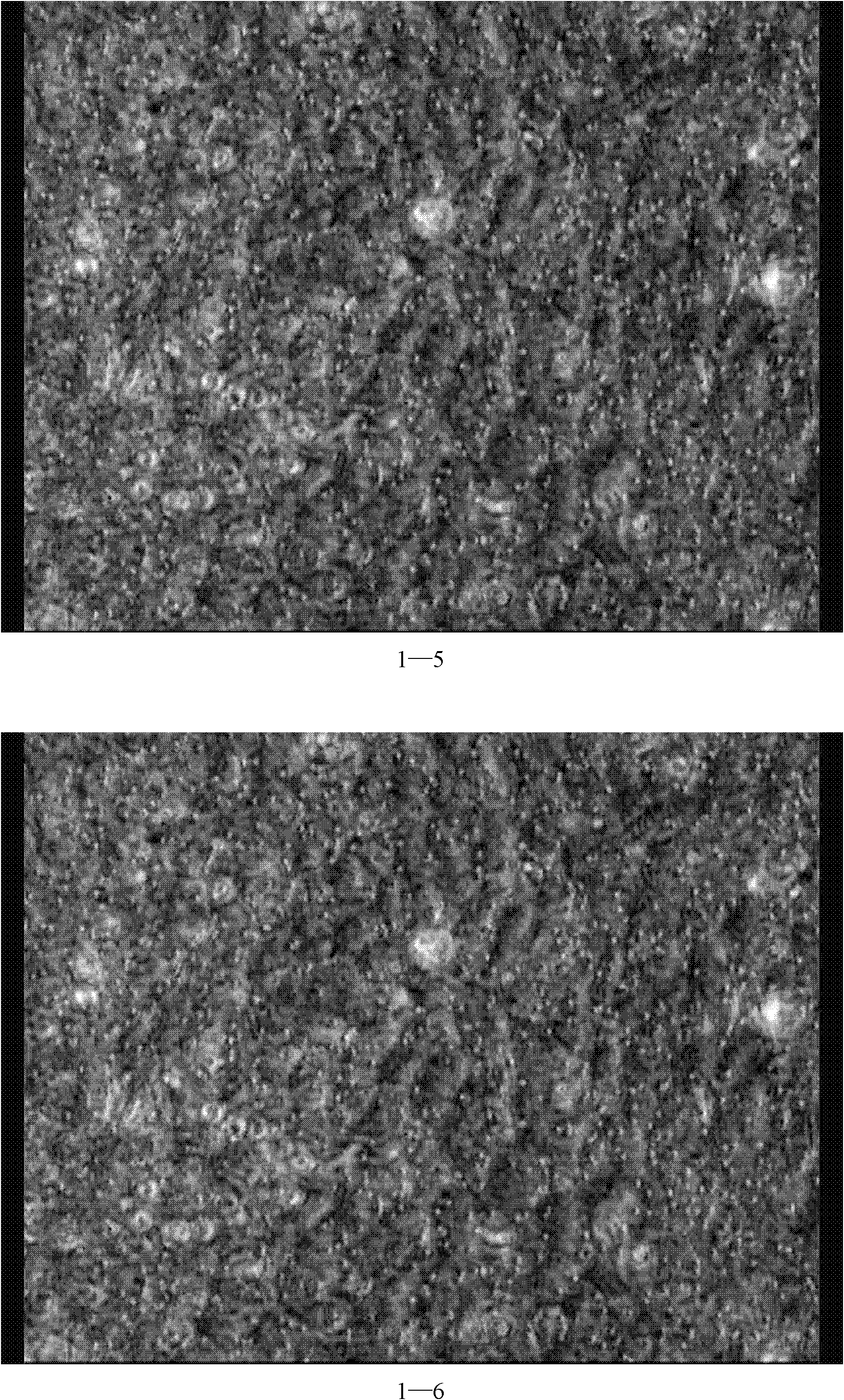 Culture medium for keeping primary airway epithelial cells in physiological state in vivo