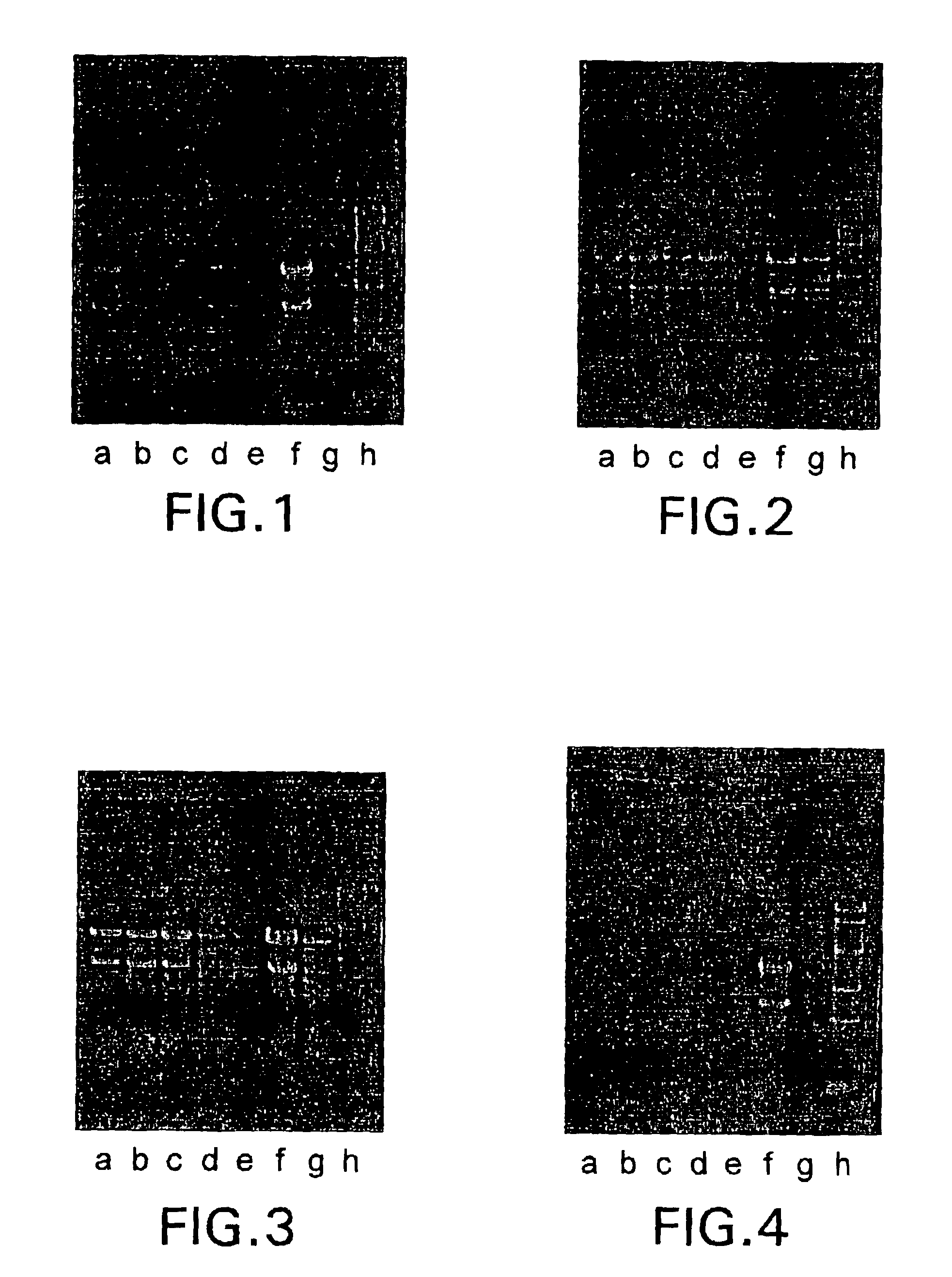 Reagent for the isolation of RNA