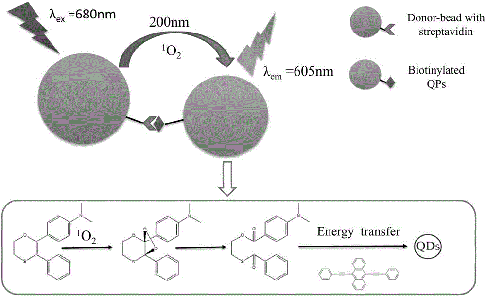 Carcino-embryonic antigen immunization analysis method based on singlet oxygen channel light-emitting quantum dot sensor