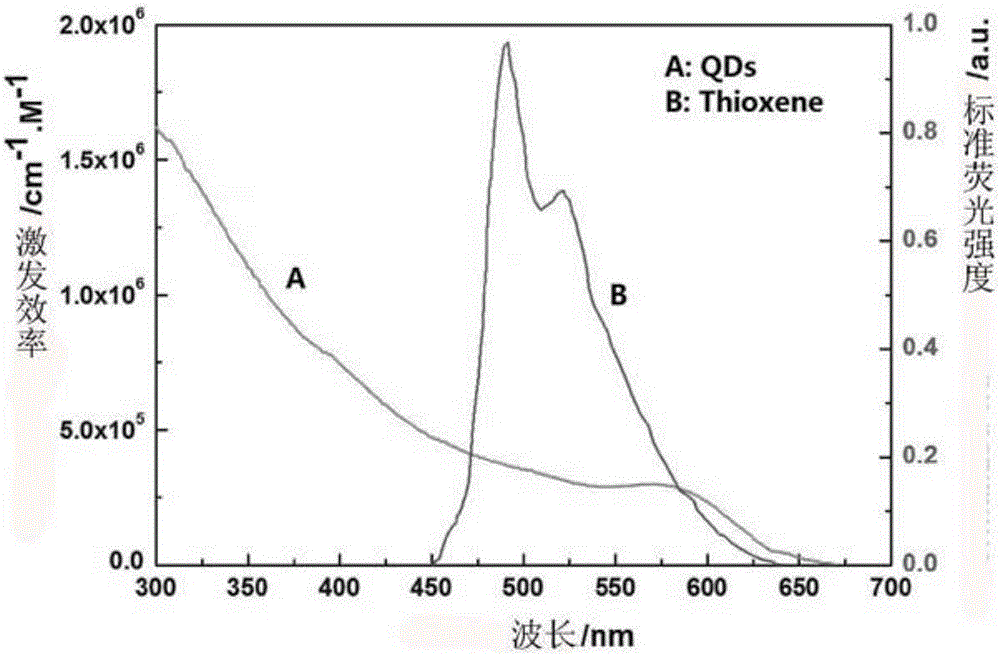 Carcino-embryonic antigen immunization analysis method based on singlet oxygen channel light-emitting quantum dot sensor