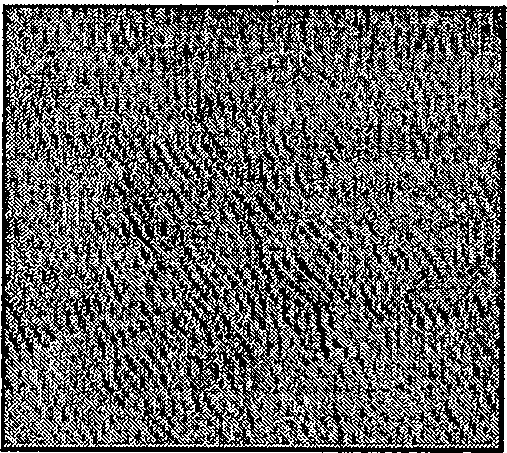 Method for processing images of transmissive electron microscope in high resolution for crystallite of coke