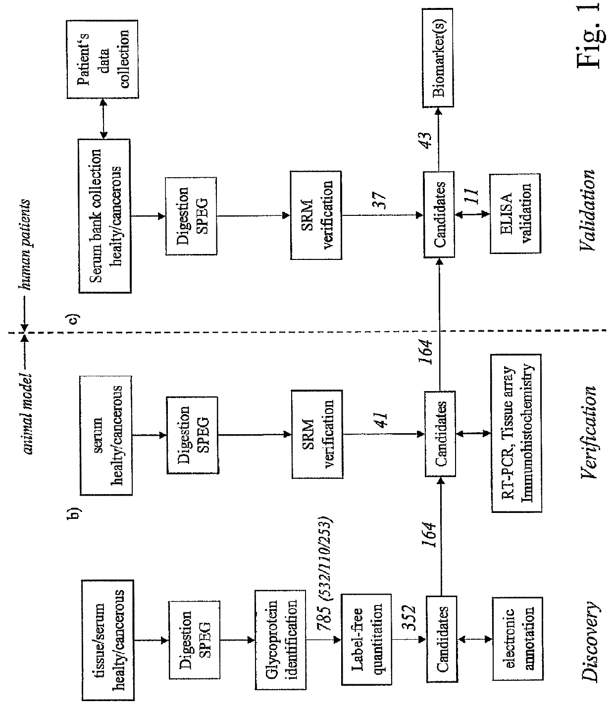 Method for biomarker and drug-target discovery for prostate cancer diagnosis and treatment as well as biomarker assays determined therewith