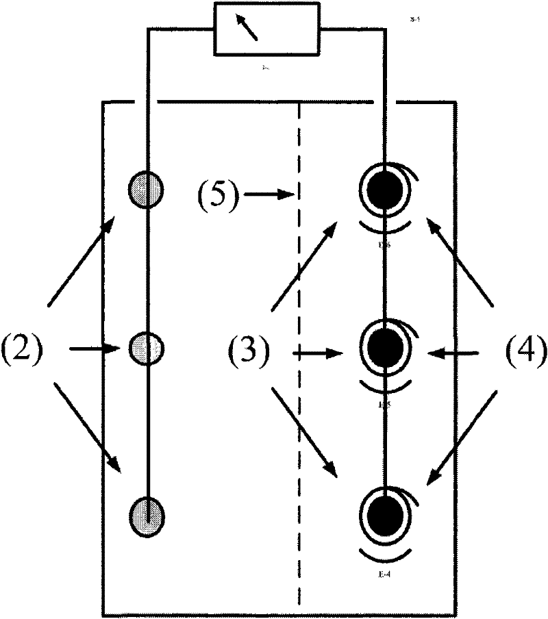 Electrolytic cell in electro-deoxidization metallurgy process