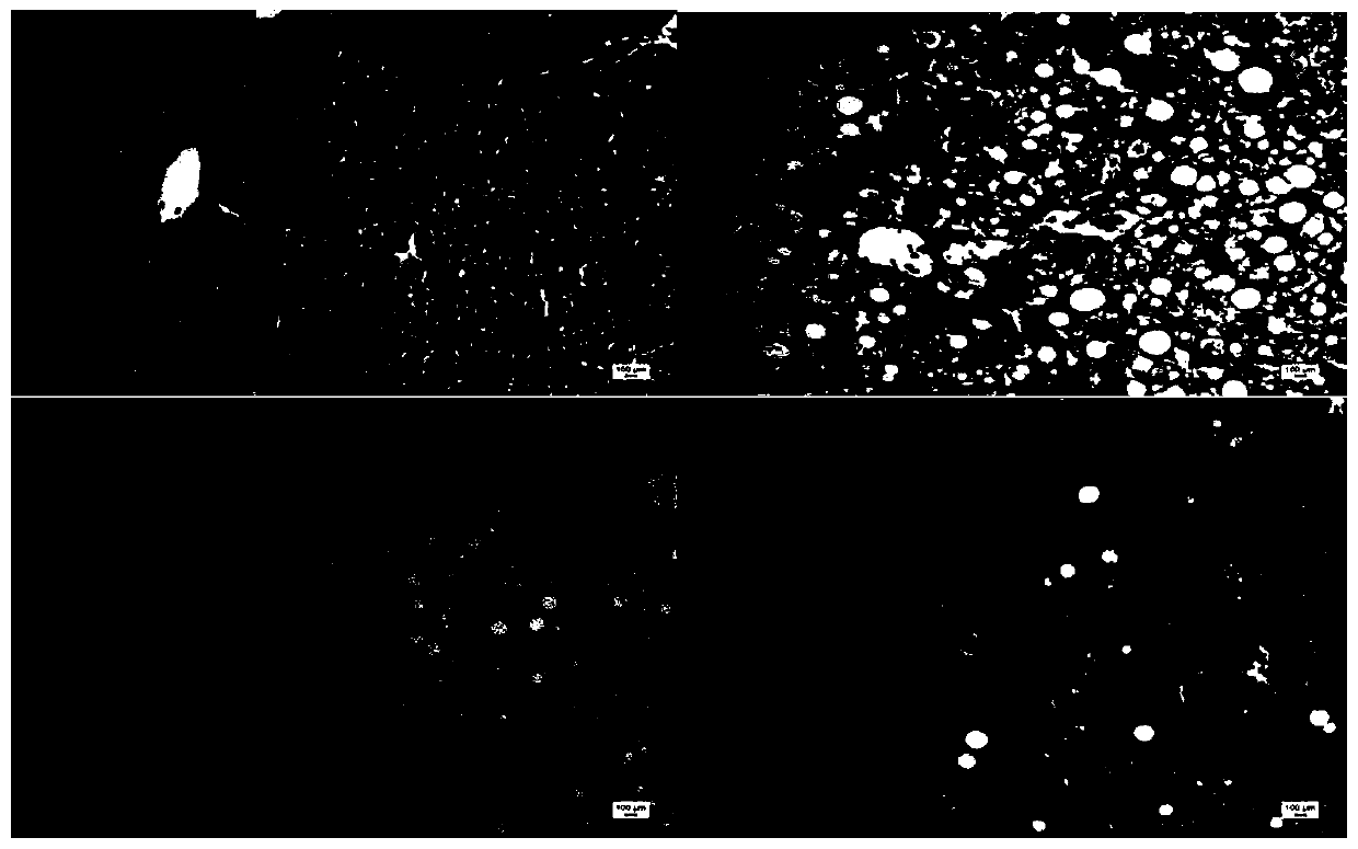 Application of Piceatannol 3'-O-glucoside in preparation of product for treating and/or preventing non-alcoholic fatty liver disease