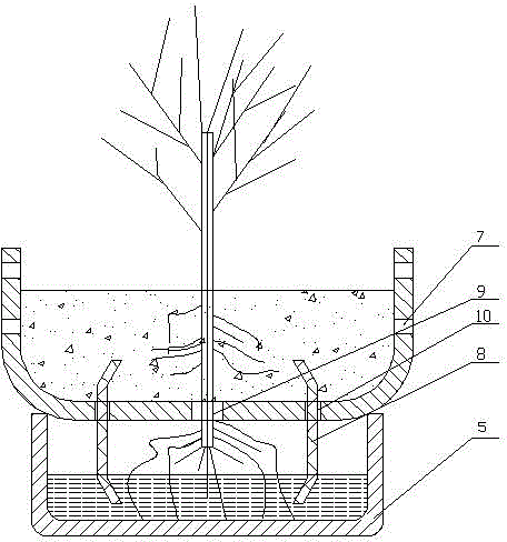 Spiral flower shelf