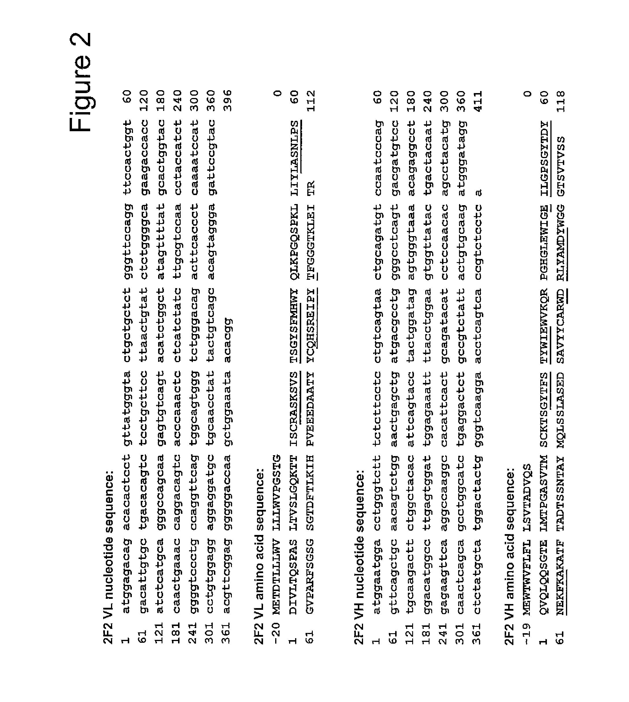 Anti-cd70 antibody-drug conjugates and their use for the treatment of cancer and immune disorders