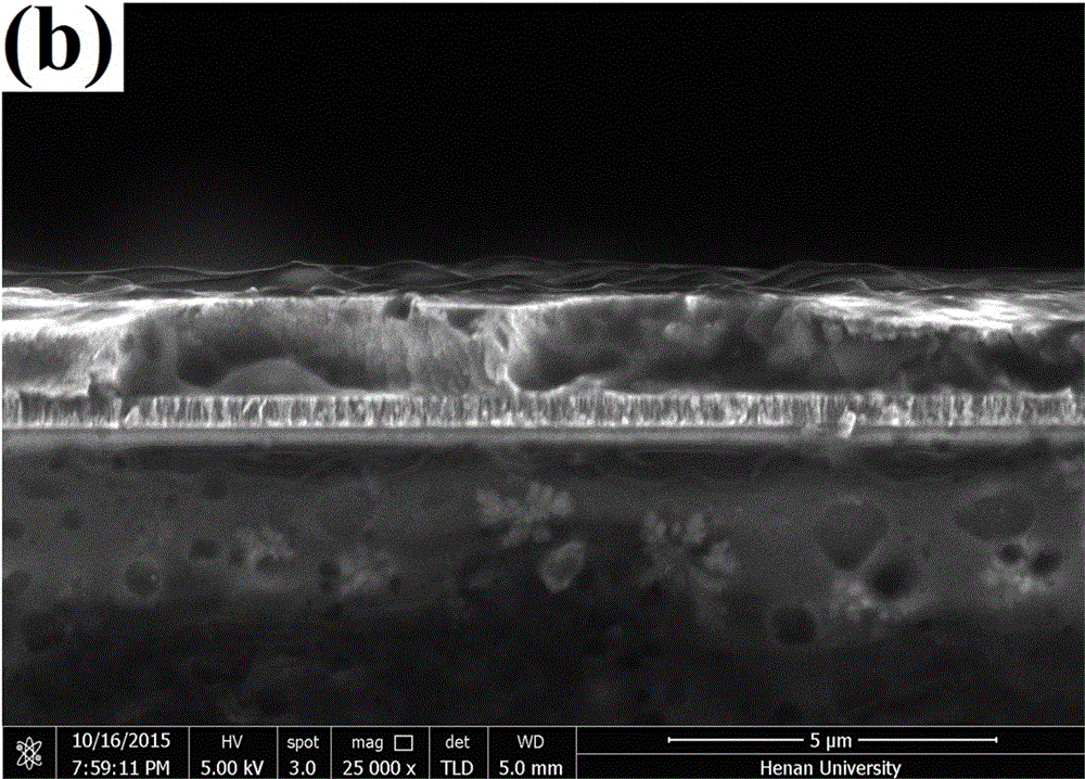 Method for preparing CIGS thin-film solar cell absorption layer employing co-sputtering method