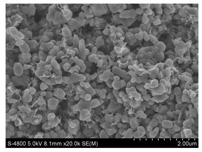 Preparation method of carbon-coated lithium titanate composite material for lithium ion power battery