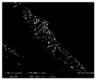 Method for preparing nanometal particle/metal organic frame composite antibacterial cellulose fibers