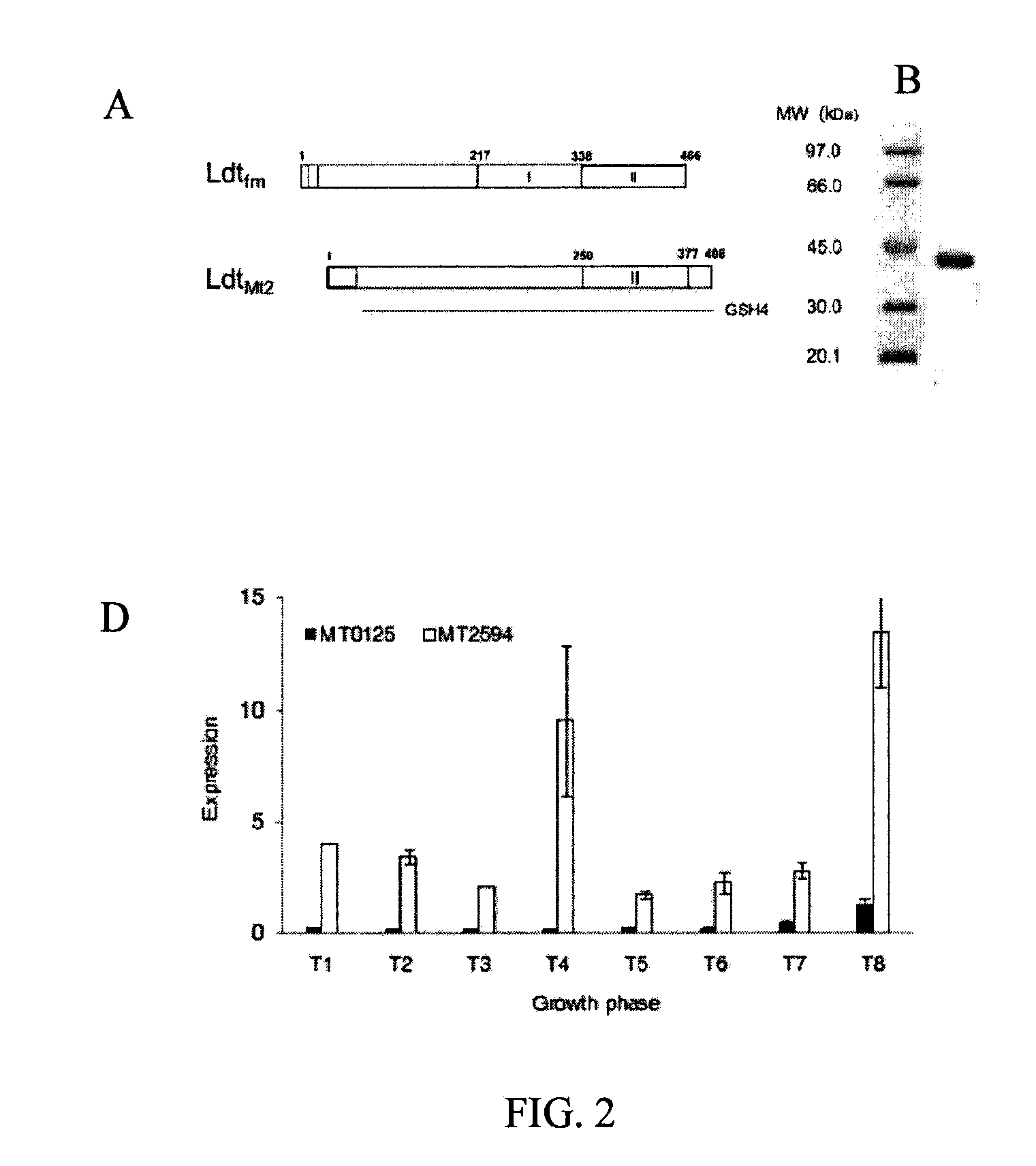 Methods for treatment of bacterial infections