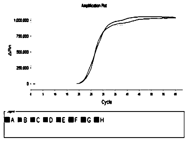 Typing detection LAMP primer combination with effect of differentiating porcine parvovirus type 1-7, detection method and kit