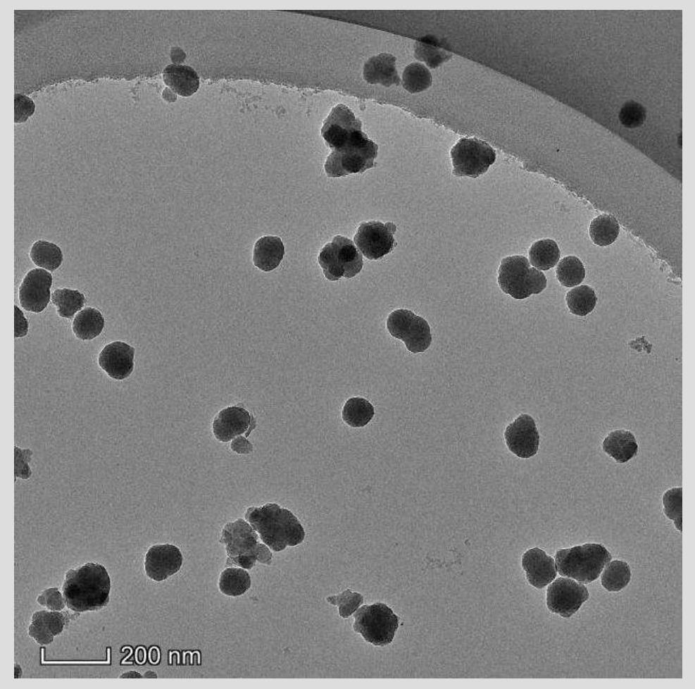 Molecularly imprinted ratiometric fluorescent probe based on carbon dots as well as preparation method and application thereof