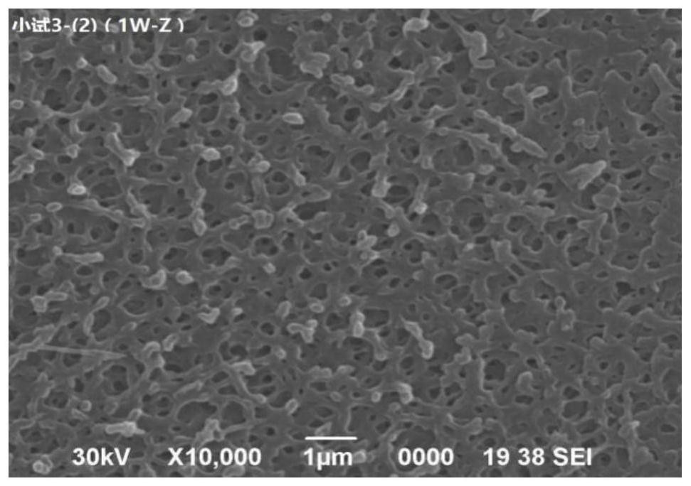 A kind of aromatic polyamide slurry, porous diaphragm and preparation method thereof