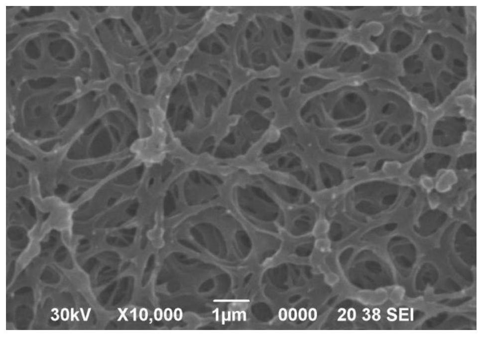 A kind of aromatic polyamide slurry, porous diaphragm and preparation method thereof