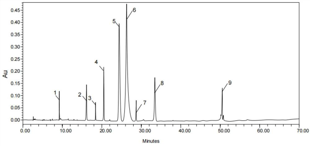 Application of sour cherry extract in preparation of product for reducing uric acid or inhibiting gout attack