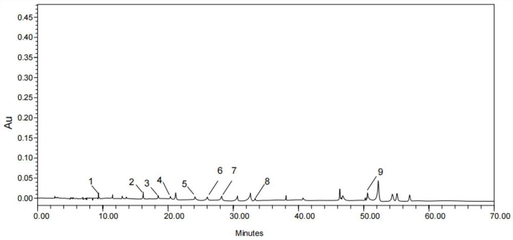 Application of sour cherry extract in preparation of product for reducing uric acid or inhibiting gout attack