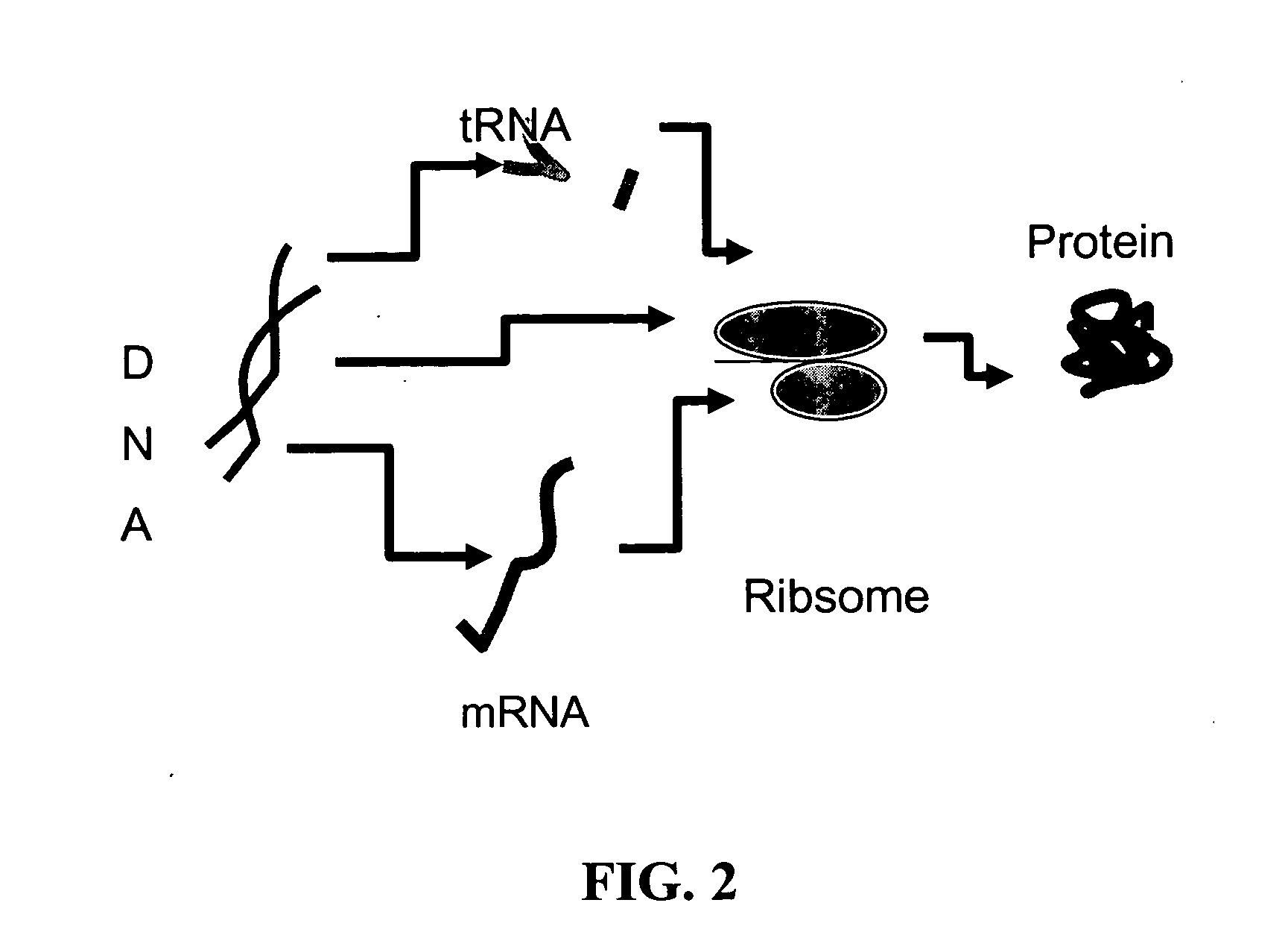 Methods of making nanotechnological and macromolecular biomimetic structures