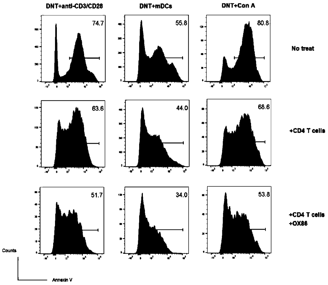 Method for Transformation and Expansion of Double Negative T Cells