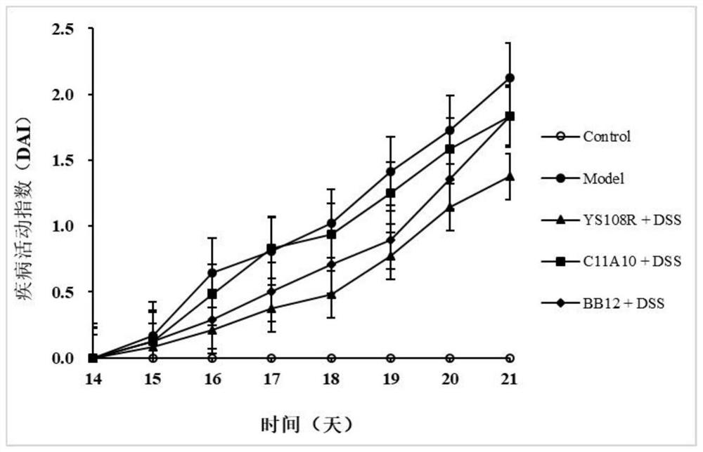 A kind of bifidobacterium longum and its application