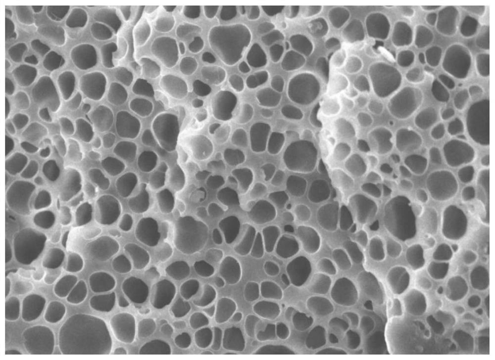 A kind of thermoplastic elastomer physical foaming coil and its semi-continuous preparation method